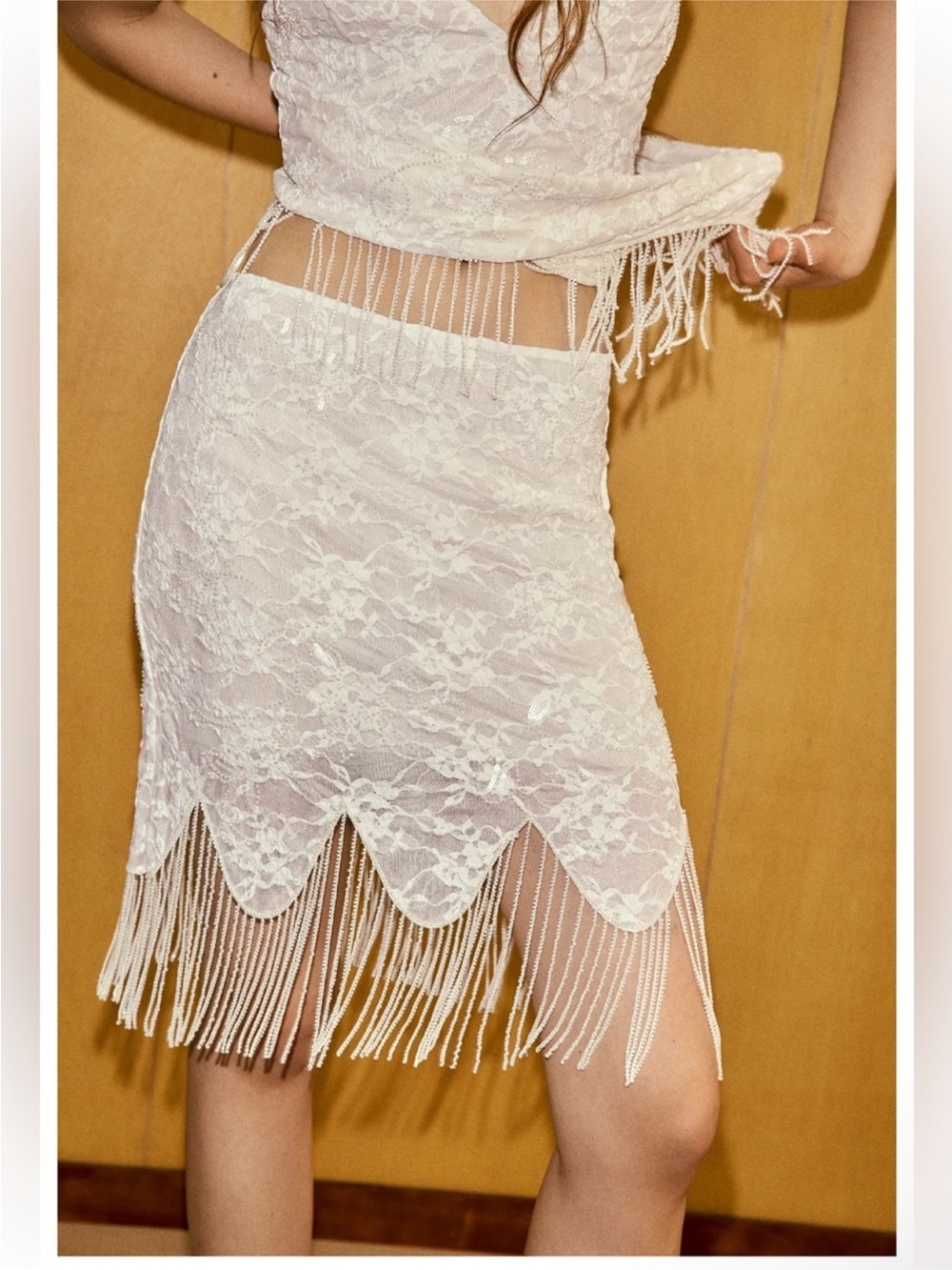 ZARA BEADED FRINGE FLORAL LACE SKIRT - Picture 8 of 16